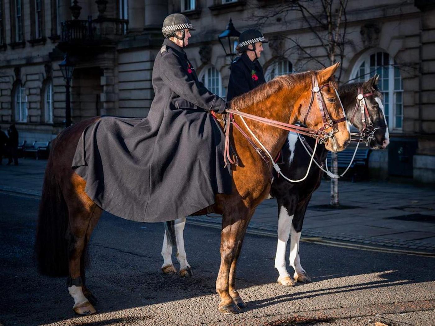 Police horse Elswick has retired from Lancashire Police&amp;rsquo;s mounted section aged 18