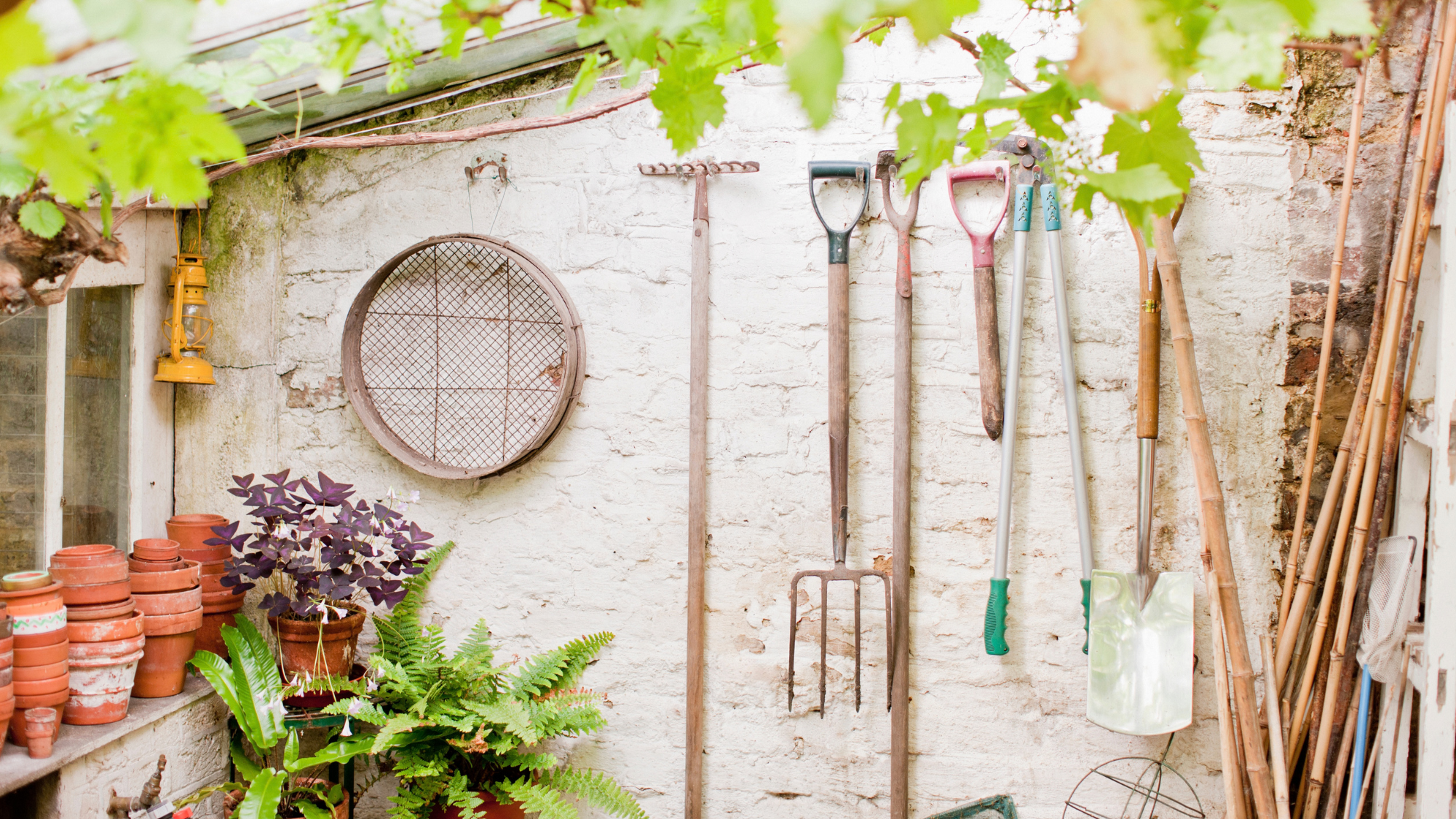 My Husband Has Worked In Gardening For 20 Years – This Is The First Thing He Does Every October
