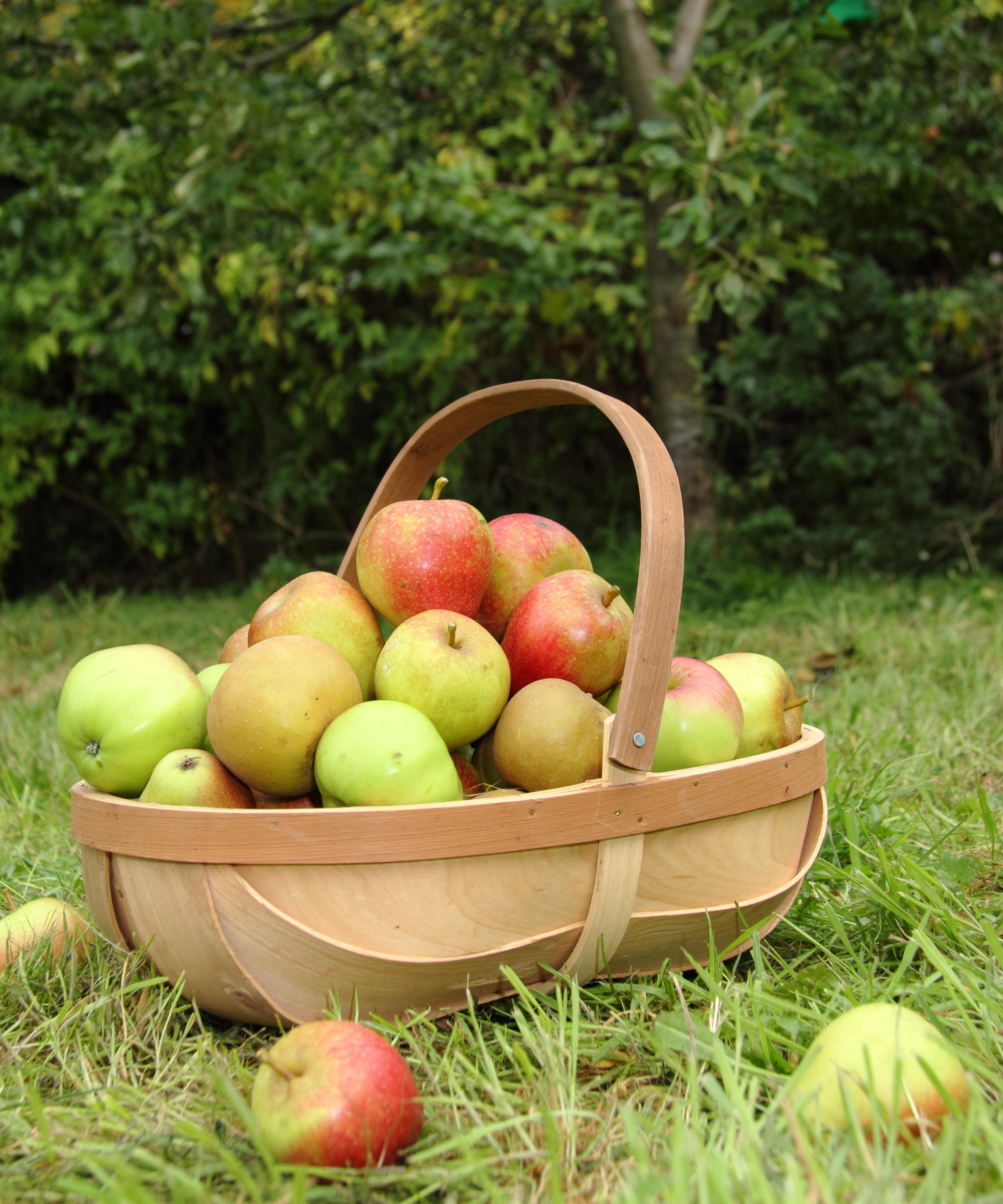 How To Store Apples: To Keep Them Perfectly Fresh For Longer 