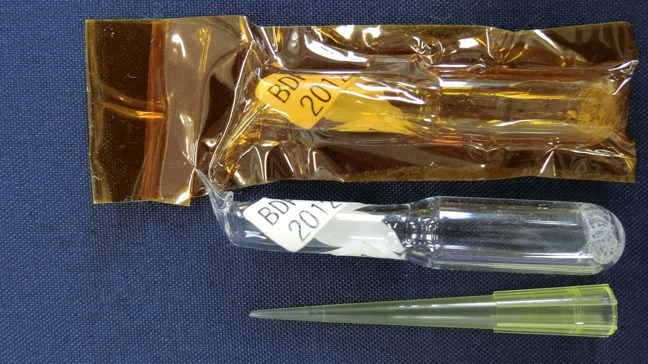 Mouse sperm were freeze-dried and stored in a glass vial, and stored on the International Space Station for up to five years and 10 months. These samples were later returned to Earth, where researchers checked them for DNA damage.