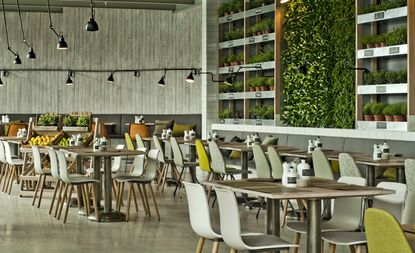 Wall of plants behind tables & chairs