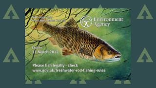 The new 2016/17 EA rod licence has a classic river fish, chub, on the front – but even though your rod licence is valid, you cannot catch them from English and Welsh rivers under EA rules between March 15 and June 15 inclusive. Go to certain Scottish rivers and you can keep catching them!