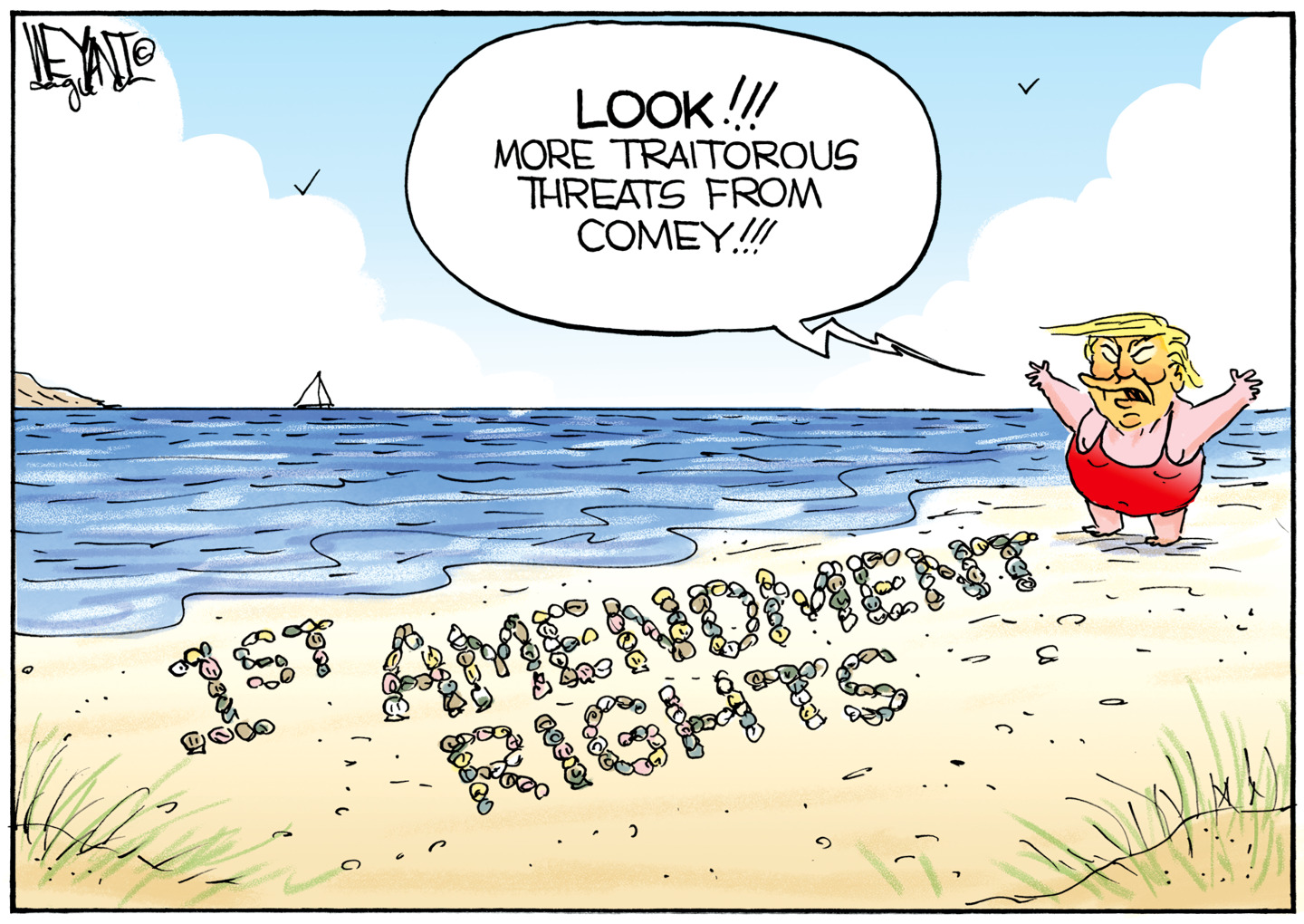 Donald Trump is on a beach and looks at sea shells that spell out &amp;ldquo;1st Amendment Rights&amp;rdquo;. He screams, &amp;ldquo;Look!!! More traitorous threats from Comey!!!&amp;rdquo;