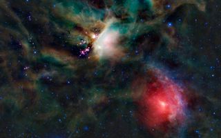 Rho Ophiuchi