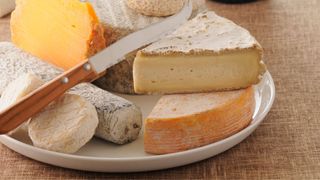 Board of different cheeses rich in calcium