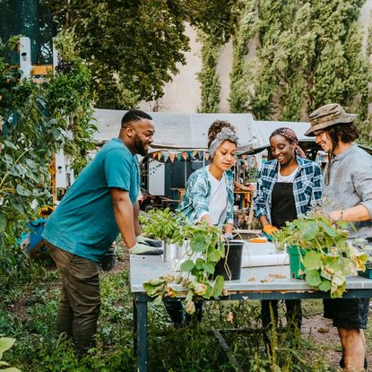 Four gardeners stand around a table of plants