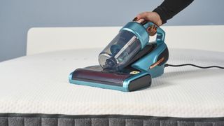 A hand holds a vacuum mattress cleaner on the surface of a mattress, vacuuming for bed bugs, dust mites, dirt and allergens