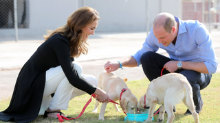Princess Kate and Prince William kneeling down with two labrador dogs who are drinking from a bowl