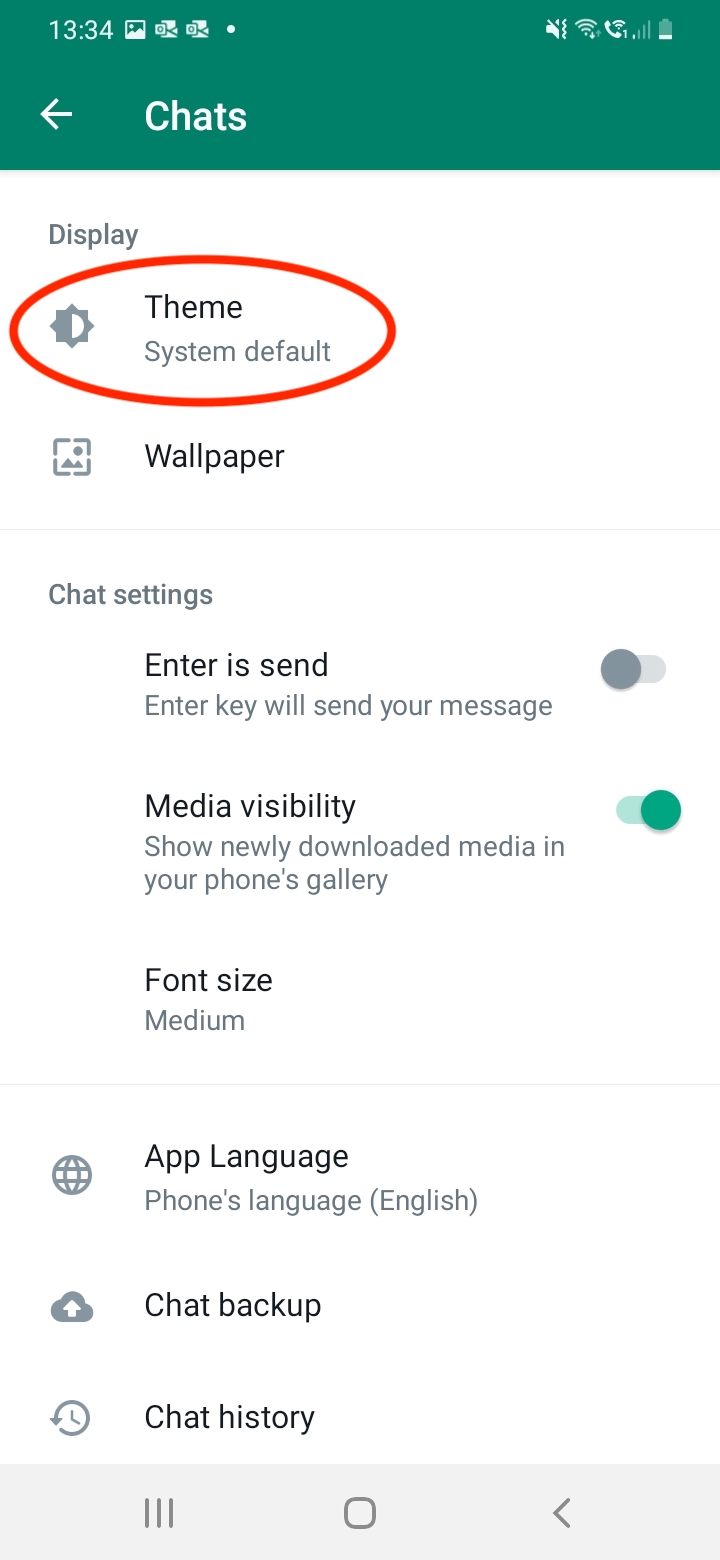 Скриншот опции темы в WhatsApp