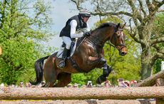 Bronze Flight retire Alan Nolan