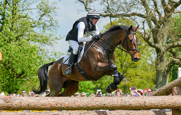 Bronze Flight retire Alan Nolan