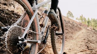The Fizik Terra Atlas clipped into a hardtail on a trail