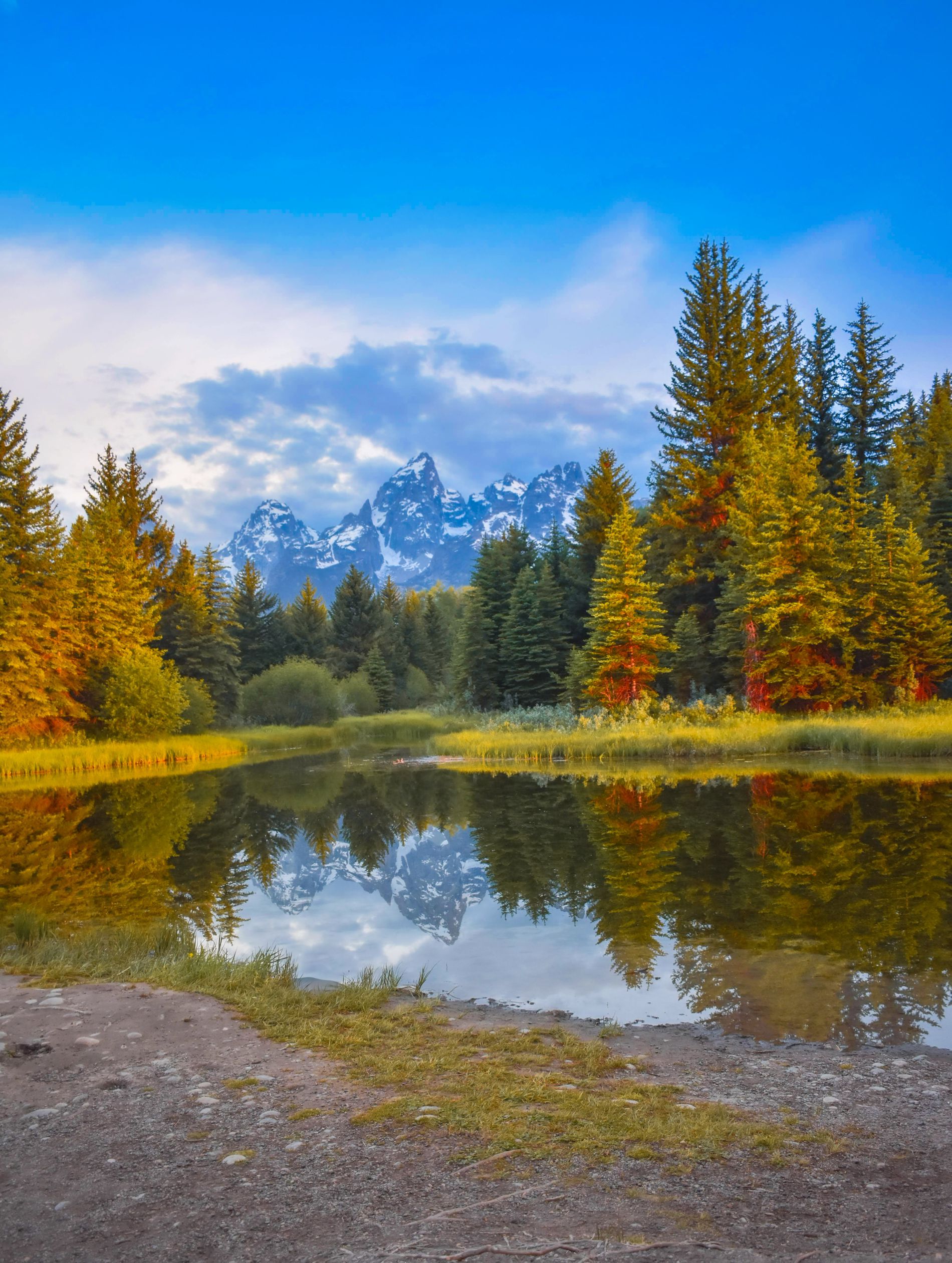 GuruShots - March 2026