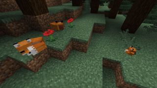 How To Tame A Fox In Minecraft Taiga Biome Spawn Locations