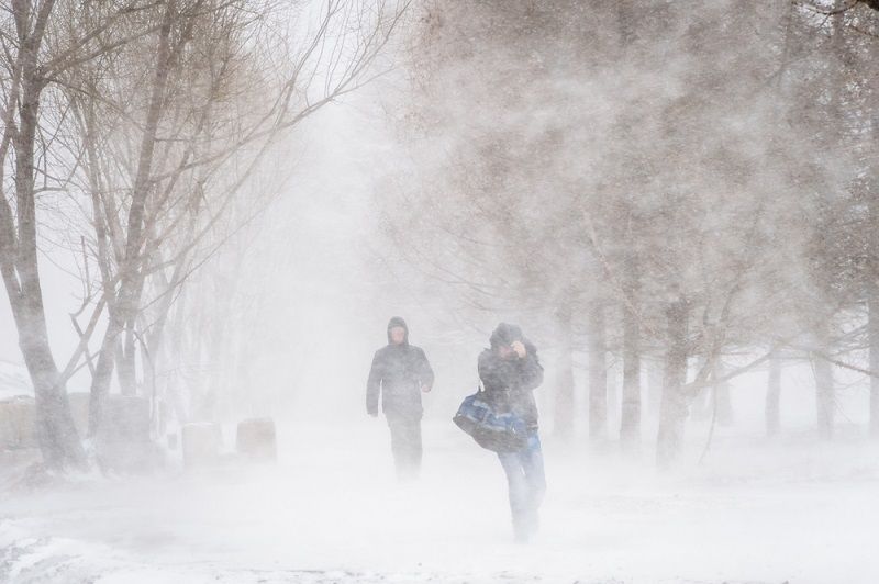 People walking through snow and wind.