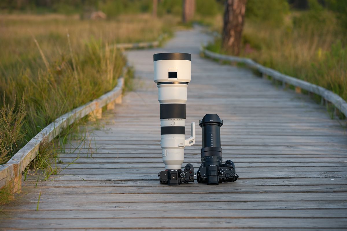 Sony RX10 V bridge camera alongside Sony 400-800mm lens attached to an A7R V on a boardwalk in a nature reserve at golden hour