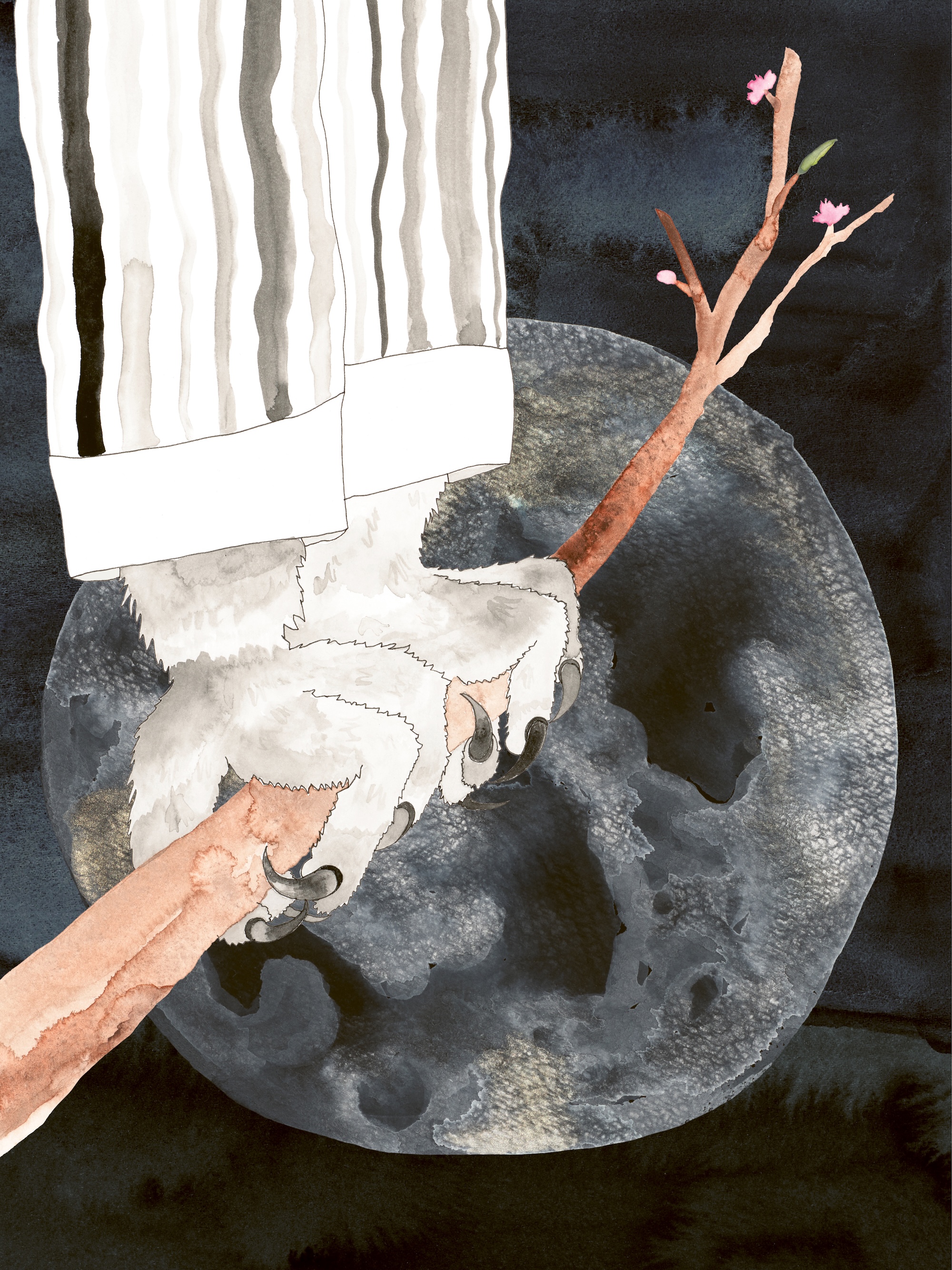 oralee clare crespo book