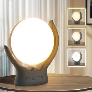 Voraiya Light Therapy Lamp