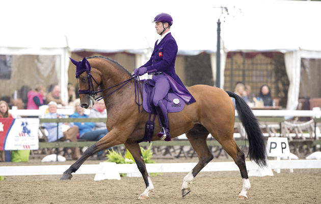 jazzy-dressage.jpg