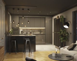 Gray modern kitchen in basement