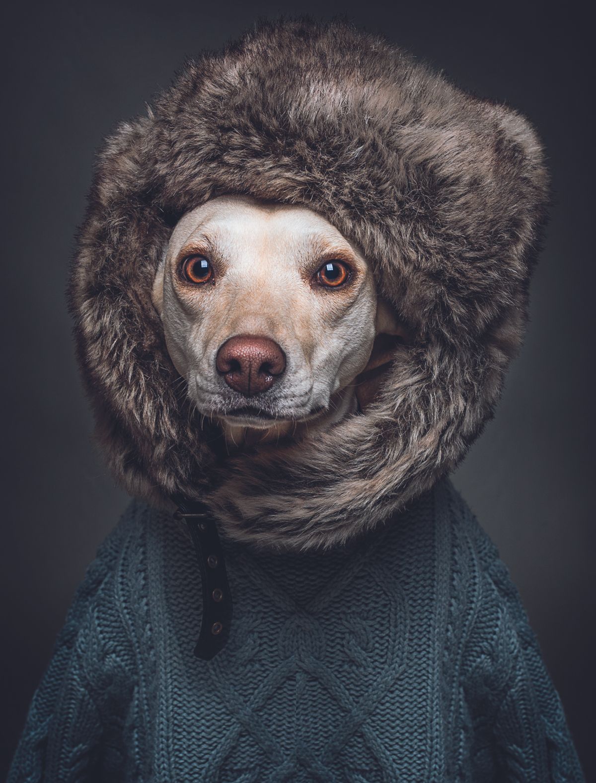 Jella, with fur trim