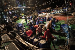 A room full with people unloading buckets of their catch.