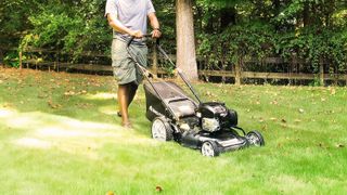 Best lawn mower deals 2024