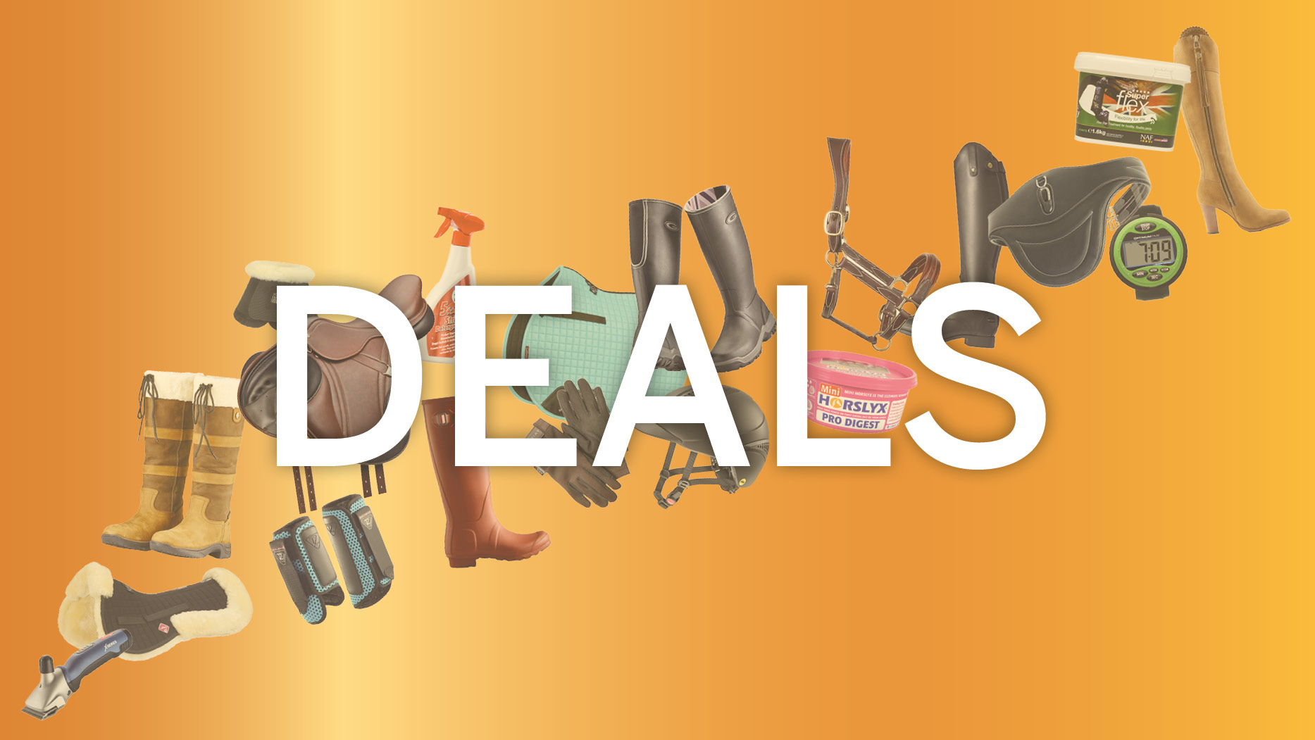 Best equestrian deals