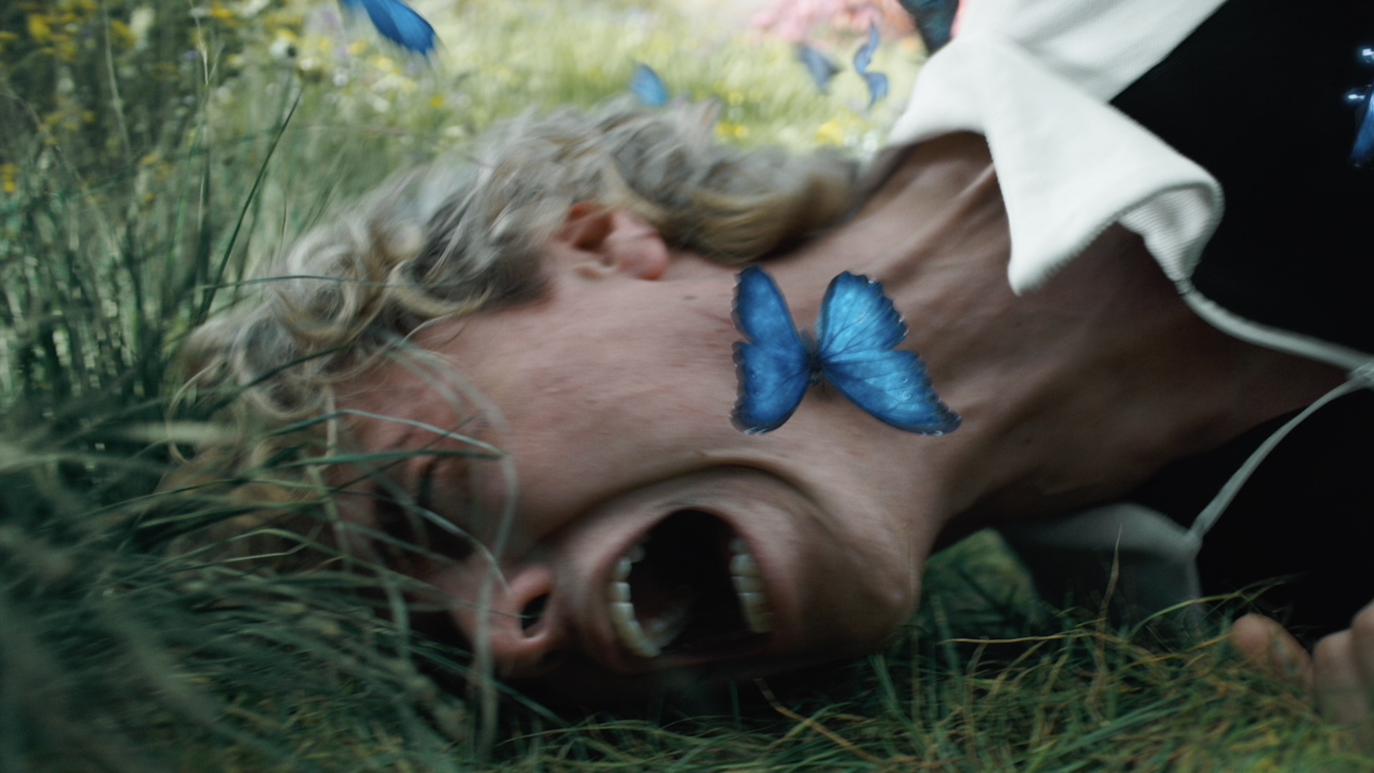 Haymitch being attacked by blue butterflies in The Hunger Games: Sunrise on the Reaping