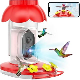 Hummingbird Feeder With Camera