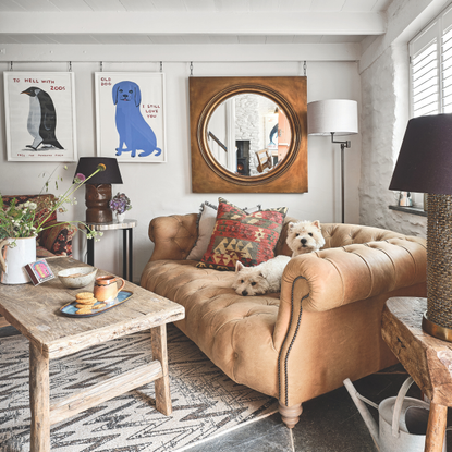 Two small, white dogs sitting on a brown sofa in a cottage living room.