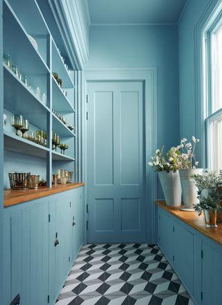 blue pantry with door painted the same color as the walls, color drenching, Benjamin Moore