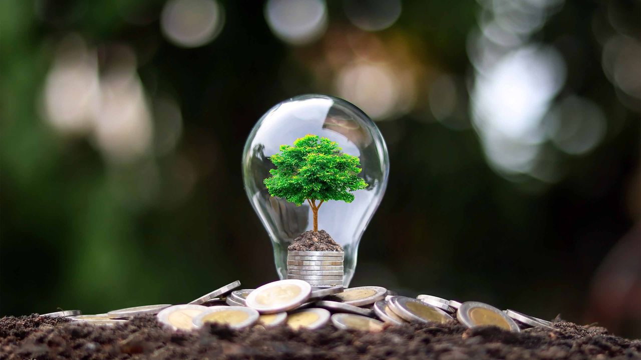 little tree inside lightbulb that is on top of a coin pile