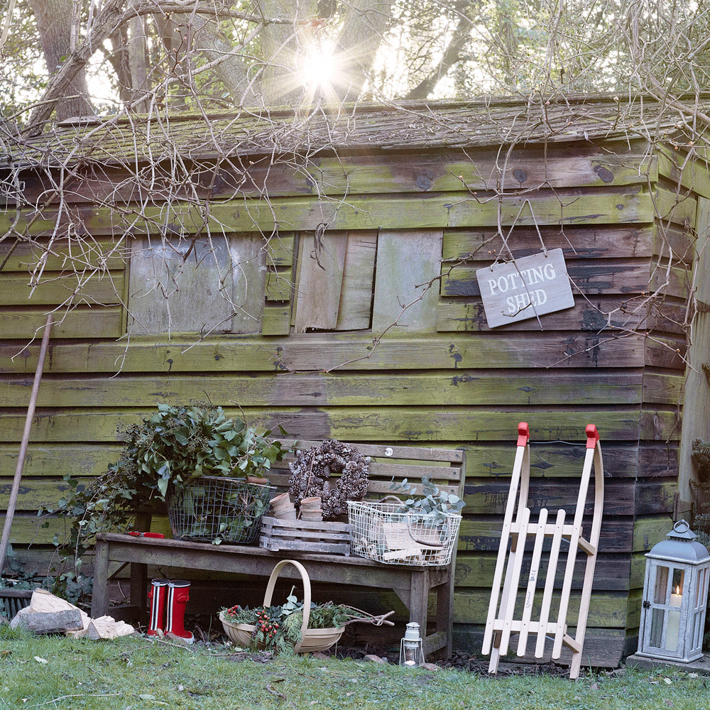 shed house with bench wooden wall and grass