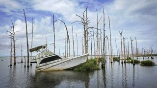 An abandoned boat sits in the water amid dead cypress trees in coastal waters and marsh August 26, 2019 in Venice, Louisiana, in a region already impacted by sea level rise.