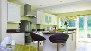 kitchen with lime green colour scheme and walls