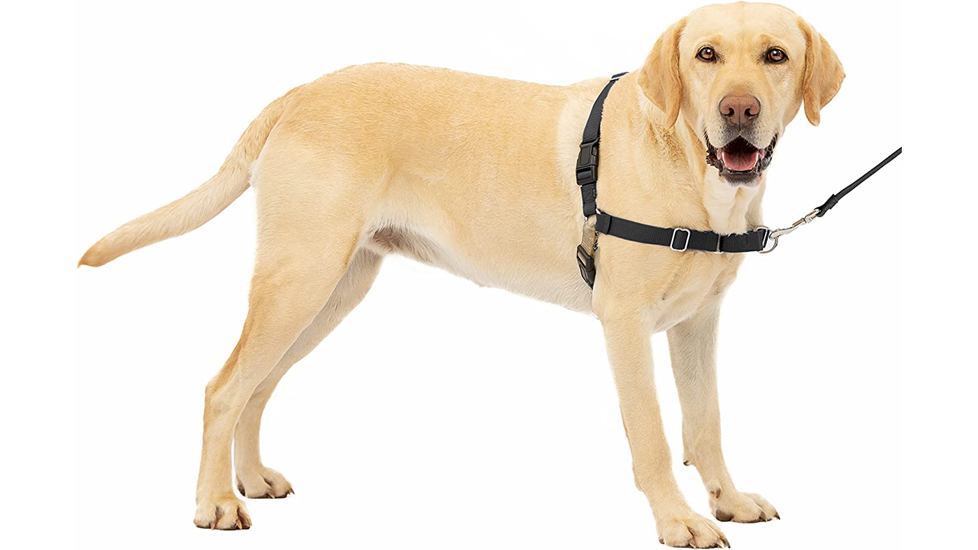 PetSafe Easy Walk Harness