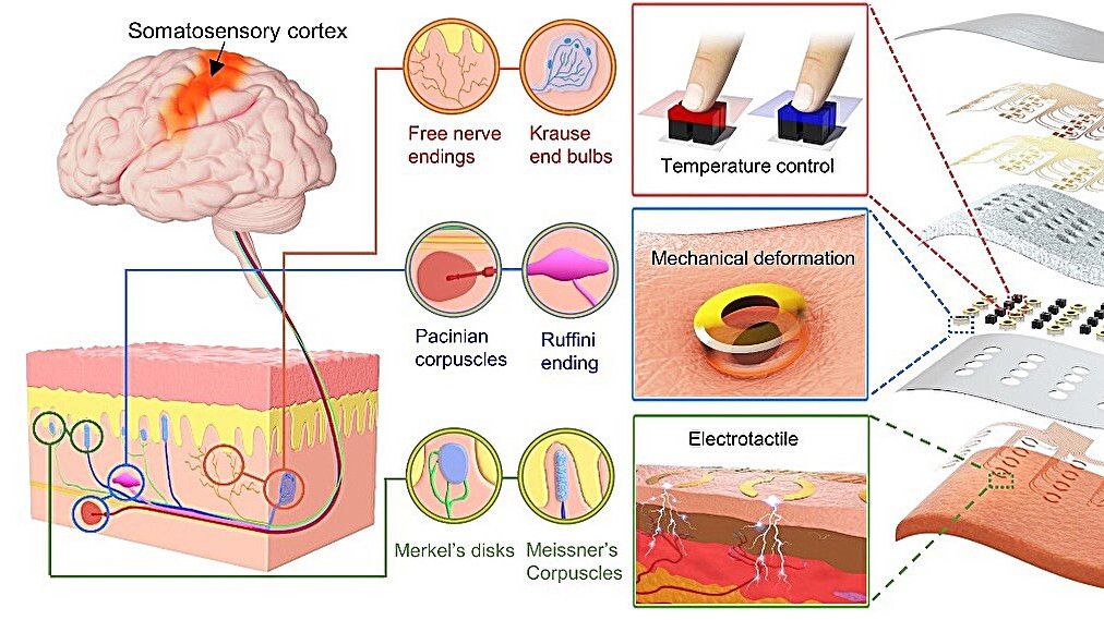 Art of the neural tactile sensing system and multimodal haptic patch developed by researchers from the City University of Hong Kong and various Chinese universities.