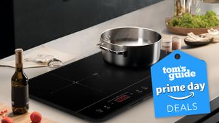 Gasland portable induction 2 burner cooktop