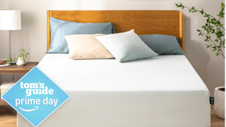 Zinus Green Tea Memory Foam Mattress