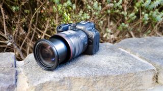 Canon EOS R6 set skråt forfra på et stengærde med en busk i baggrunden