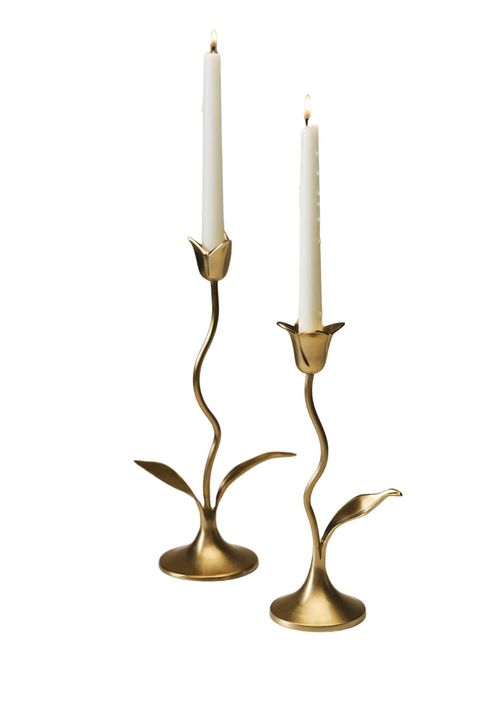 Emilia Tulip Candle Holder