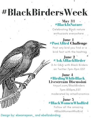 This year's #BlackBirdersWeek online event schedule.
