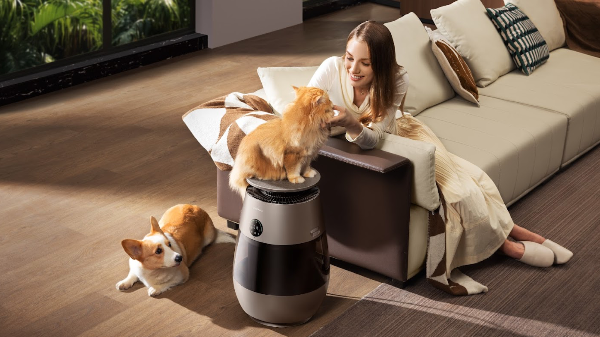 Dreame AP10 Pet Purifier