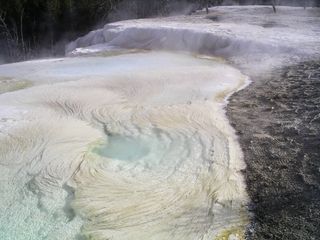 Microbes lurking in Yellowstone's hot springs create rock formations that look a lot like fettuccini or capellini.