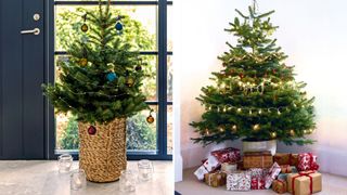 Compilation of two Christmas trees with concealed bases to show how to make a Christmas tree look expensive
