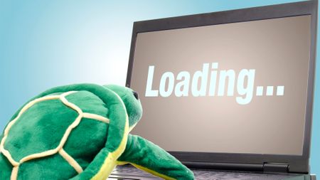 Turtle plush doll in front of a laptop with a loading screen to indicate slow internet