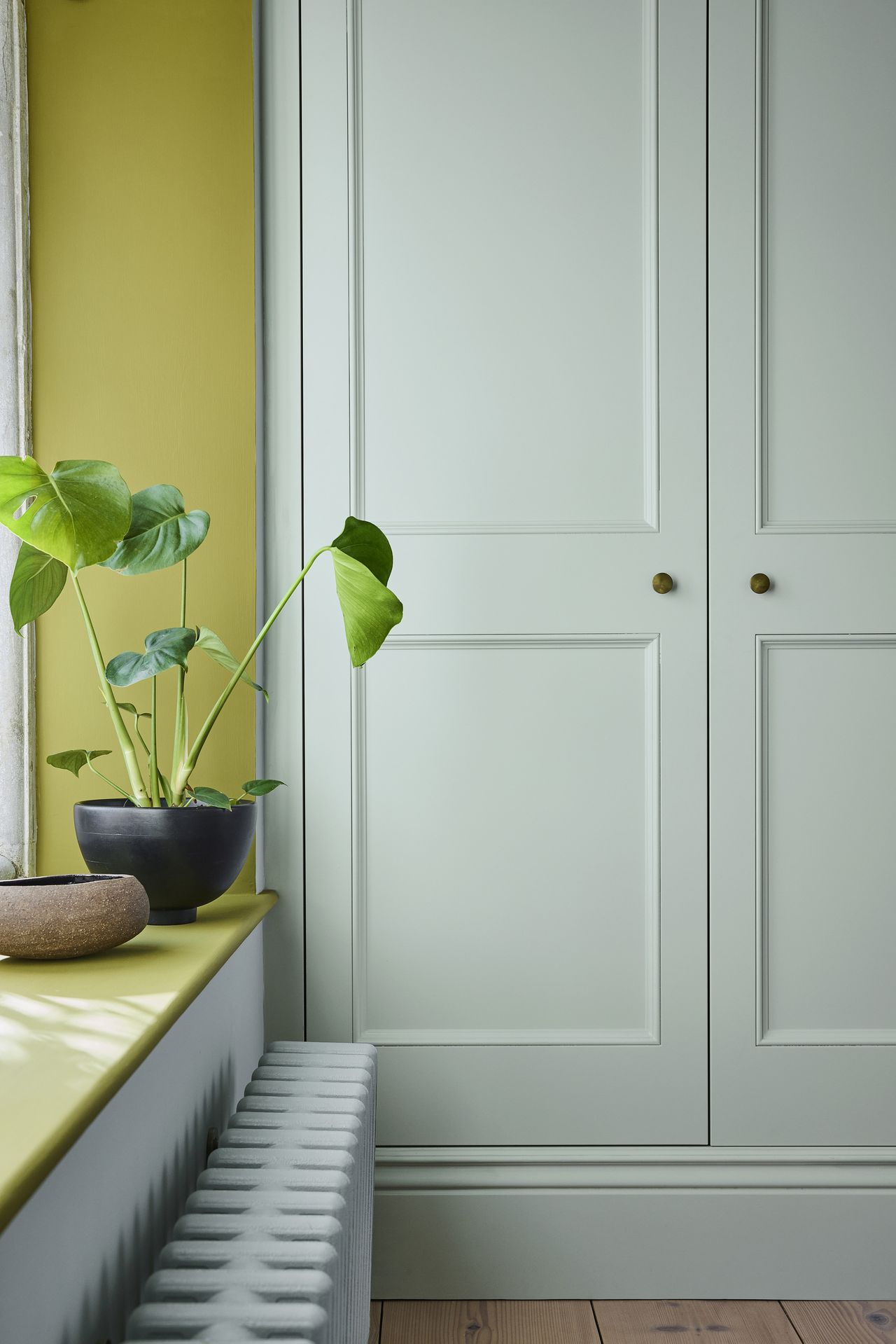 A light blue closet with a window to the left that is painted with a lime green trim and has plants on the ledge.