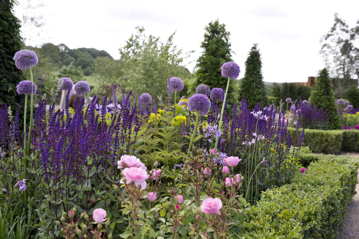 The �Chelsea Flower Show effect� these are the garden