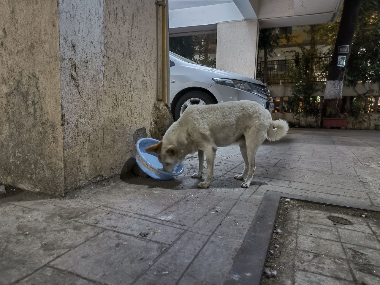 Oppo Reno 5 Pro camera